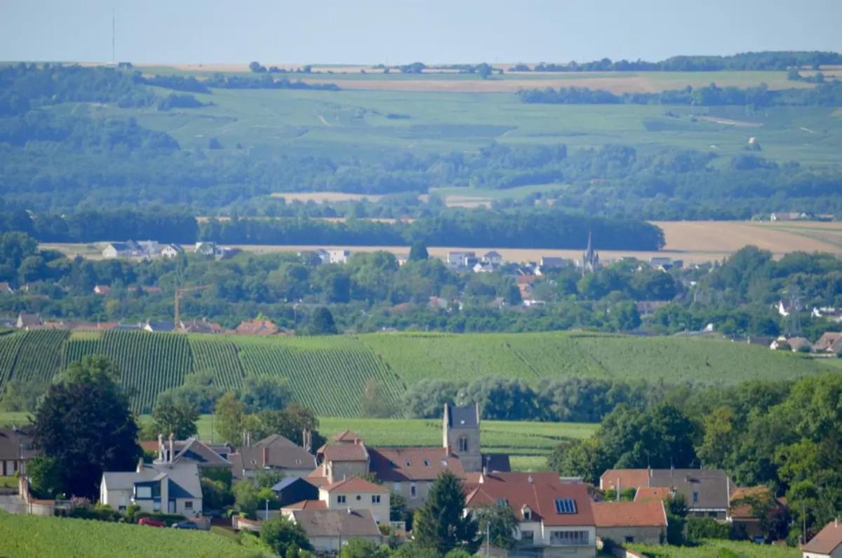 Agreable Maison Petit Jardin A 7 Minutes De Reims Pargny-les-Reims Dış mekan fotoğraf