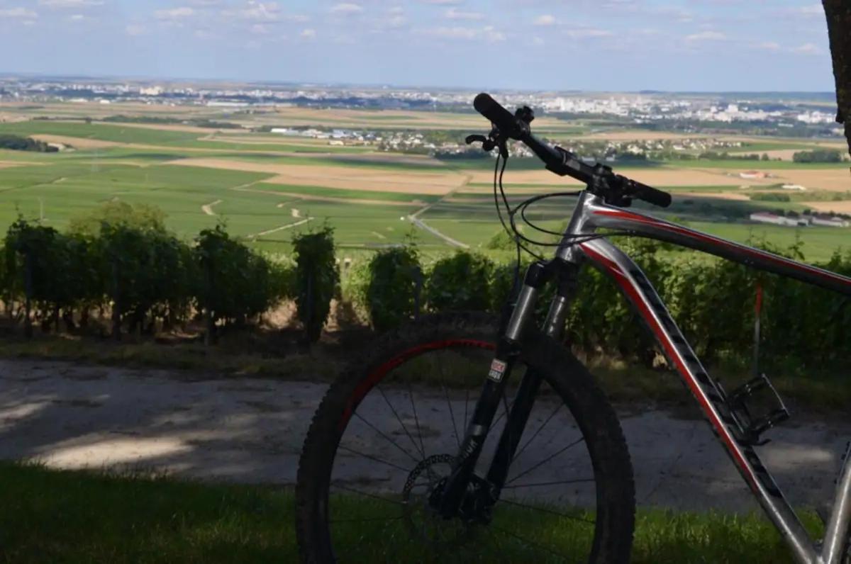 Agreable Maison Petit Jardin A 7 Minutes De Reims Pargny-les-Reims Dış mekan fotoğraf